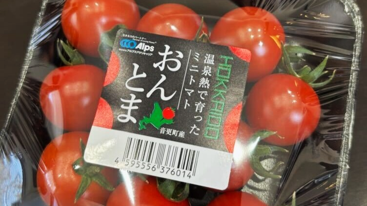 温泉熱活用の通年トマトハウス