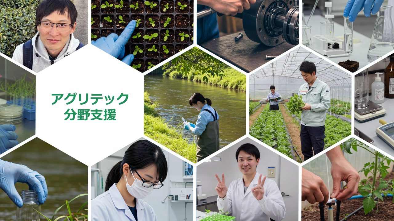 課題解決型の業務を全国で遂行